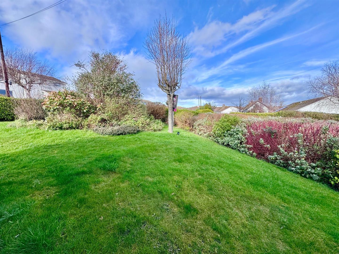 PHOTO-2026-02-24-14-06-59 (2).jpg